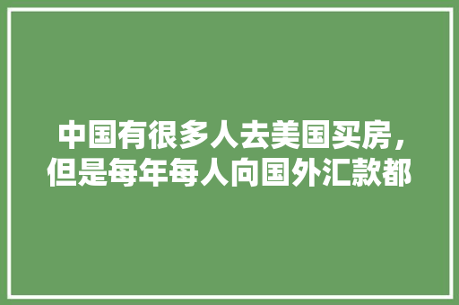 致年少的你初二作文