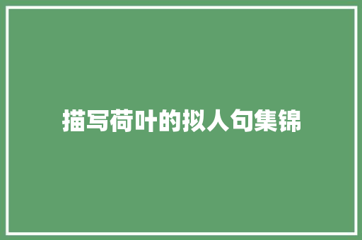 描写荷叶的拟人句集锦 范文赏析