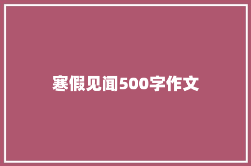 寒假见闻500字作文 写作素材