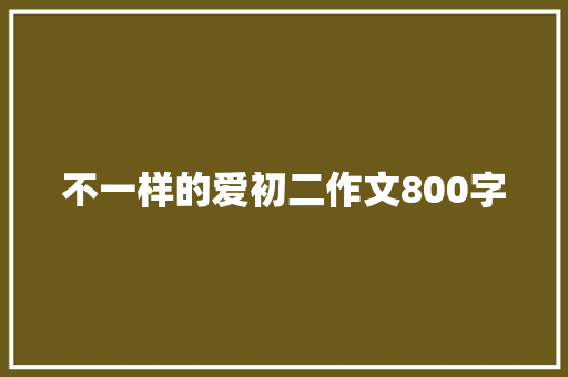 不一样的爱初二作文800字 范文赏析