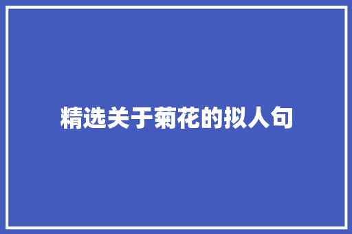精选关于菊花的拟人句 商业文案