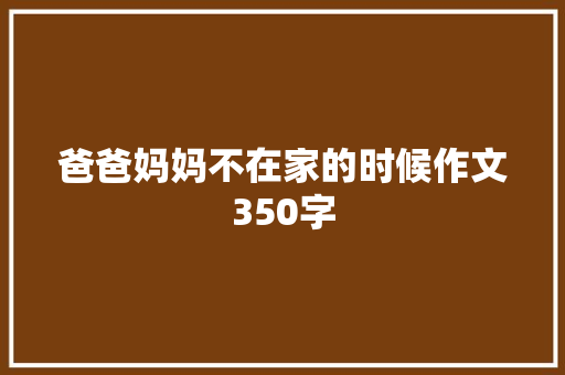 爸爸妈妈不在家的时候作文350字 写作素材