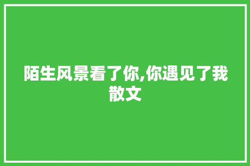 陌生风景看了你,你遇见了我散文 写作素材