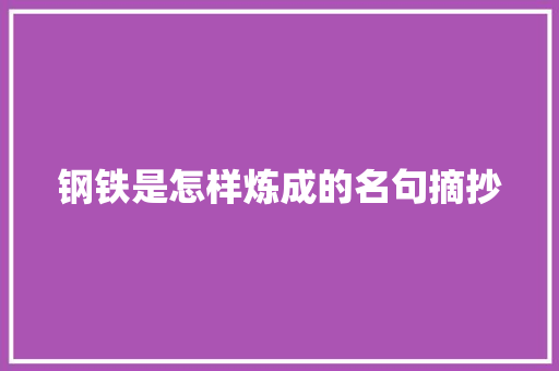 钢铁是怎样炼成的名句摘抄