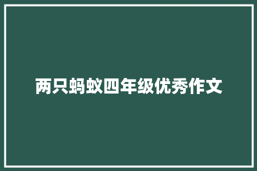 两只蚂蚁四年级优秀作文 报告写作