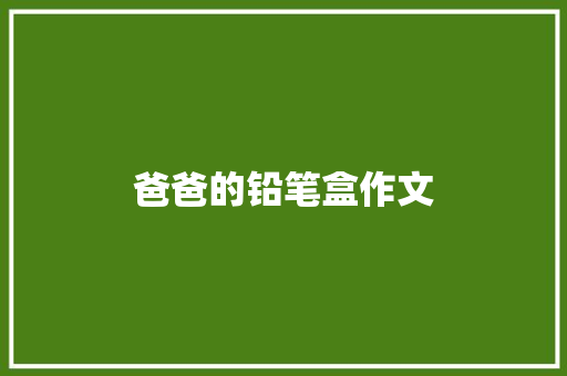 爸爸的铅笔盒作文 报告写作