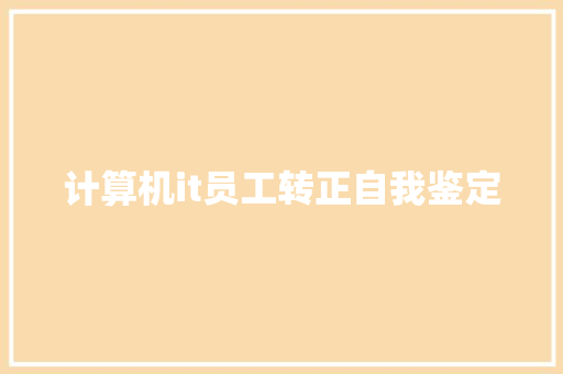 计算机it员工转正自我鉴定 词汇积累