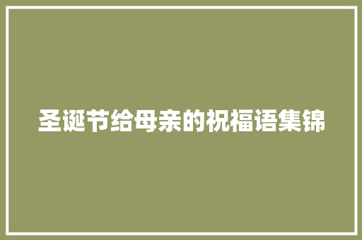 圣诞节给母亲的祝福语集锦 诗歌创作