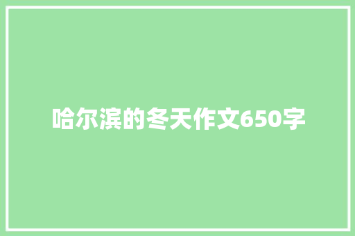 哈尔滨的冬天作文650字 词汇积累