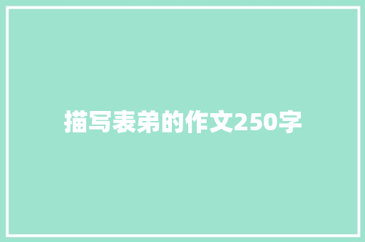 描写表弟的作文250字