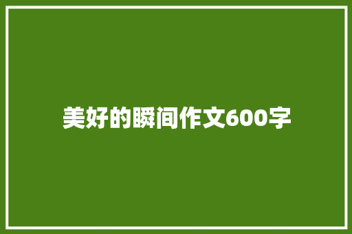 美好的瞬间作文600字