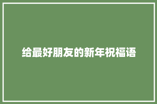 给最好朋友的新年祝福语 报告写作