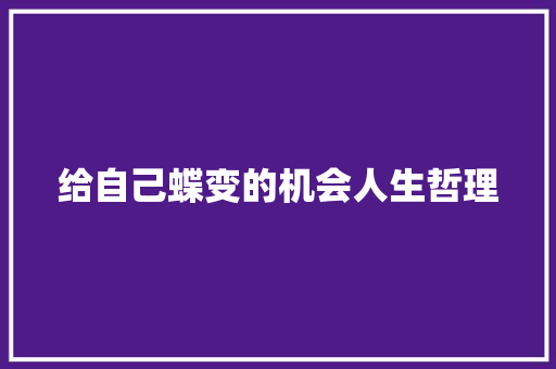 给自己蝶变的机会人生哲理 词汇积累