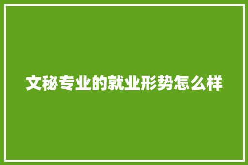 文秘专业的就业形势怎么样 商业文案