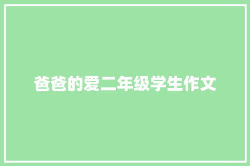 爸爸的爱二年级学生作文