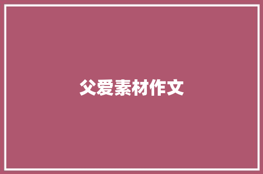 父爱素材作文