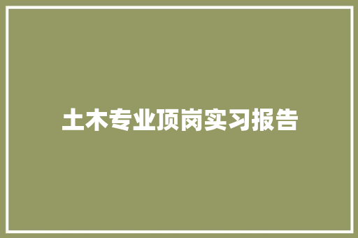 土木专业顶岗实习报告 简历模板