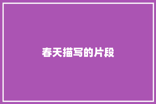 春天描写的片段 简历模板
