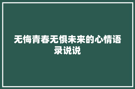 无悔青春无惧未来的心情语录说说 简历模板