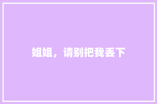 姐姐，请别把我丢下 词汇积累