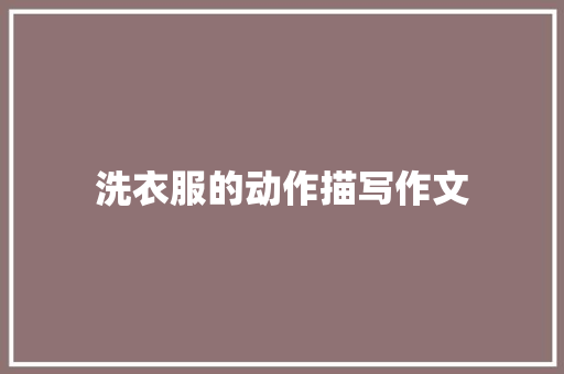 洗衣服的动作描写作文 词汇积累