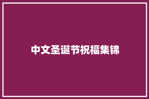 中文圣诞节祝福集锦 写作素材