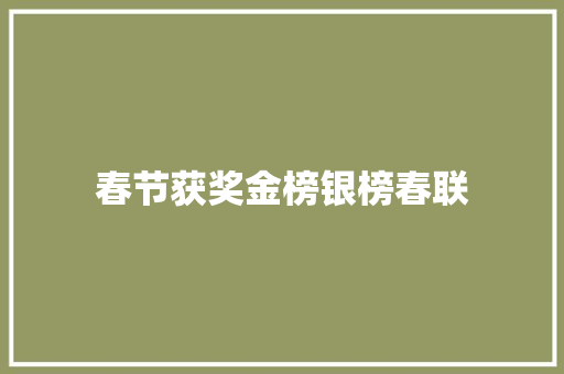 春节获奖金榜银榜春联 商业文案