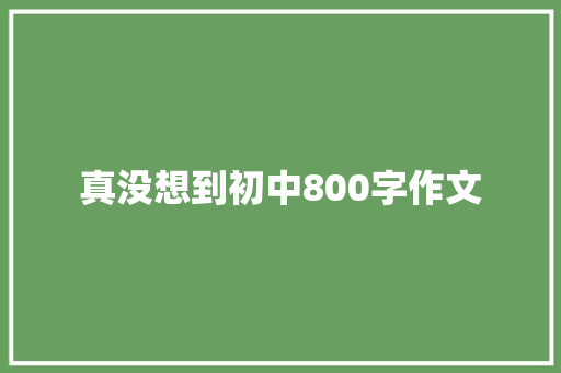 真没想到初中800字作文 报告写作