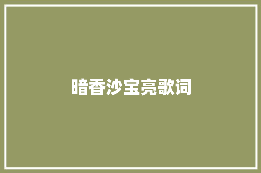 暗香沙宝亮歌词 报告写作