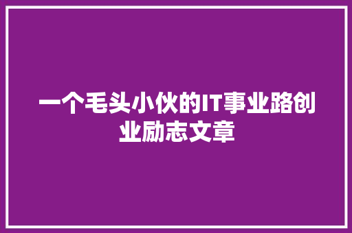 一个毛头小伙的IT事业路创业励志文章