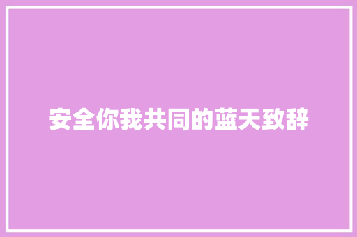 安全你我共同的蓝天致辞 写作素材