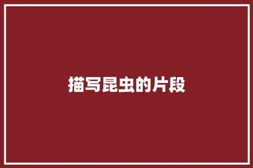 描写昆虫的片段 商业文案
