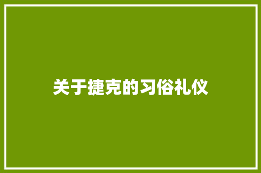 关于捷克的习俗礼仪 简历模板