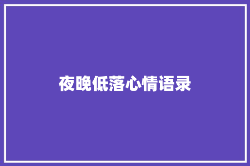 夜晚低落心情语录 简历模板