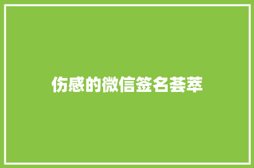 伤感的微信签名荟萃