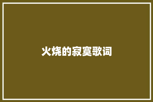 火烧的寂寞歌词 词汇积累