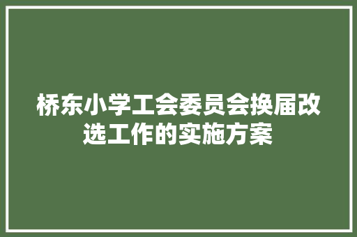 桥东小学工会委员会换届改选工作的实施方案 报告写作