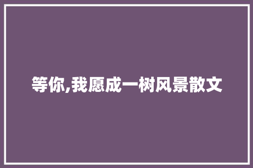 等你,我愿成一树风景散文 范文赏析