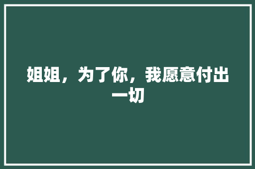 姐姐，为了你，我愿意付出一切 报告写作