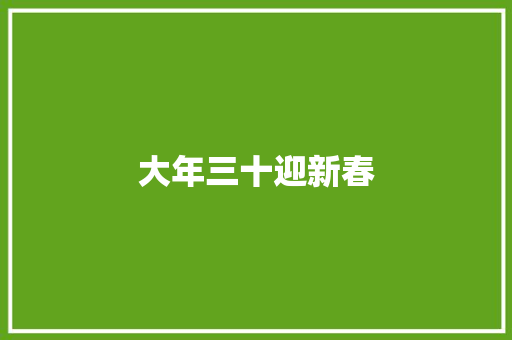 大年三十迎新春 商业文案