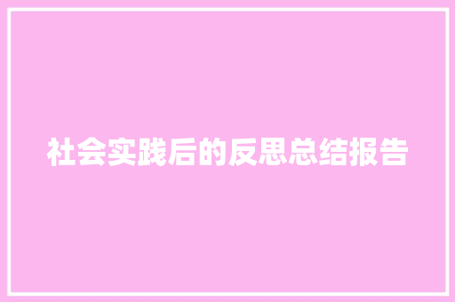 社会实践后的反思总结报告 范文赏析
