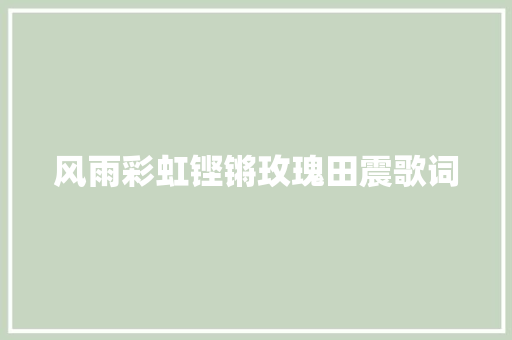 风雨彩虹铿锵玫瑰田震歌词 写作技巧