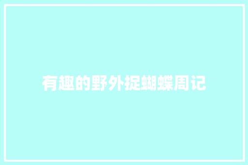 有趣的野外捉蝴蝶周记