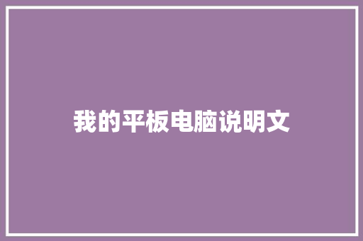 我的平板电脑说明文 报告写作