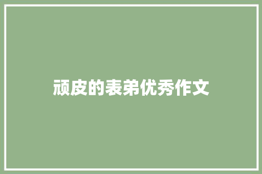 顽皮的表弟优秀作文
