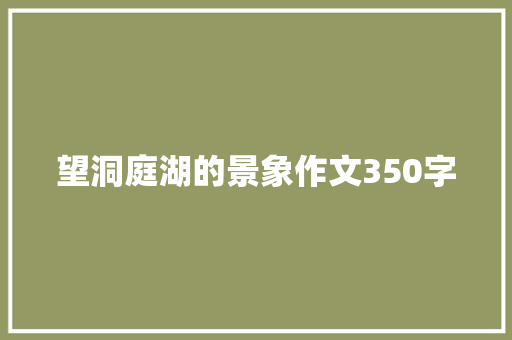 望洞庭湖的景象作文350字 范文赏析
