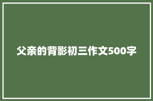 父亲的背影初三作文500字 简历模板