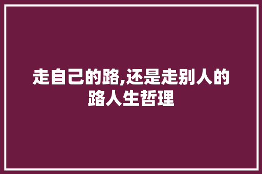 走自己的路,还是走别人的路人生哲理 词汇积累