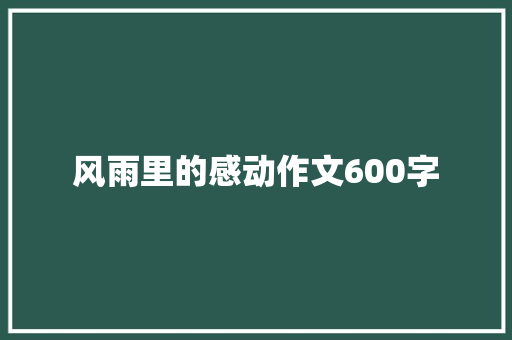 风雨里的感动作文600字 简历模板