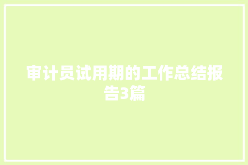审计员试用期的工作总结报告3篇 报告写作